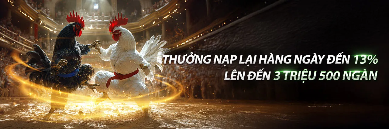 Đội ngũ 88i link