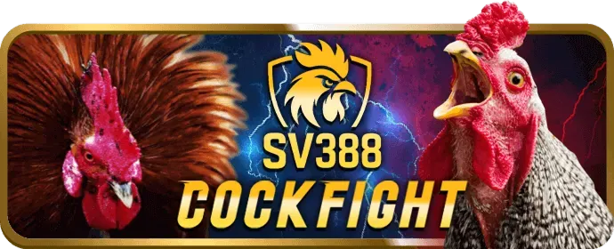 Cá cược thể thao 88i link